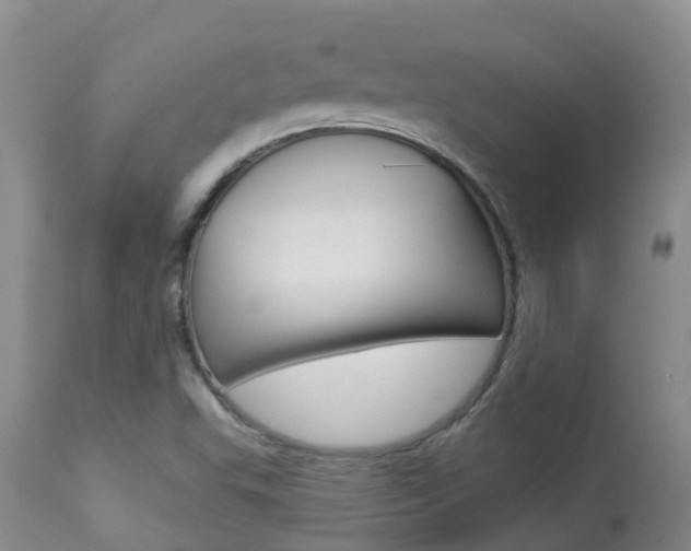 X0000113941503200909250927