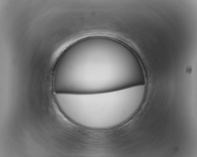 X0000113941504200909250927