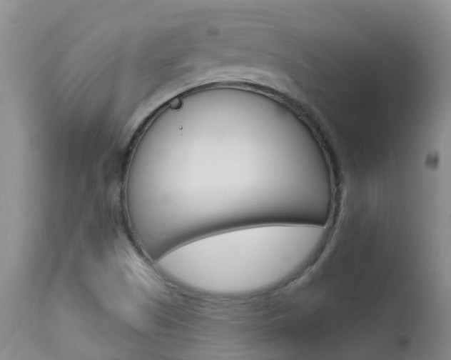 X0000113941505200909250927
