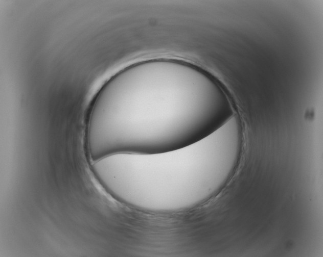 X0000113941508200909250927