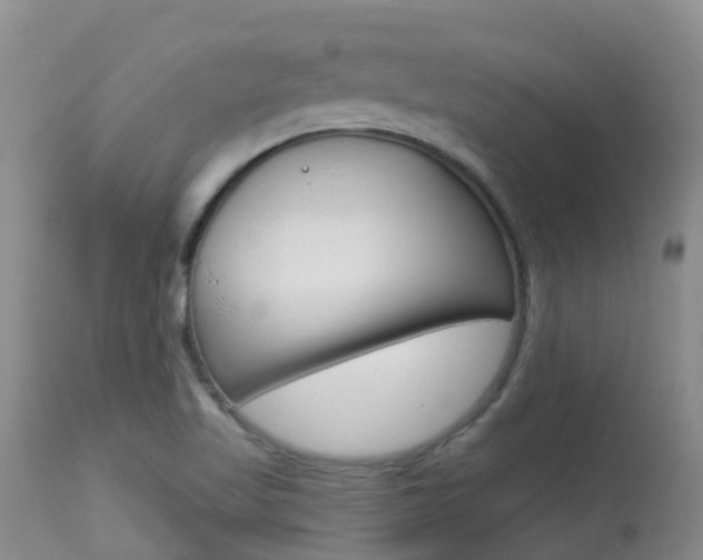 X0000113941509200909250927