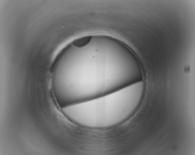 X0000113941510200909250927