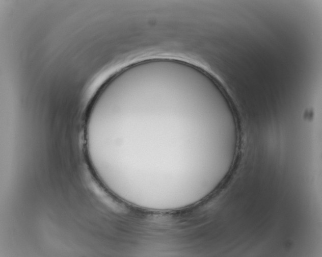 X0000113941511200909250927