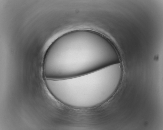 X0000113941512200909250927