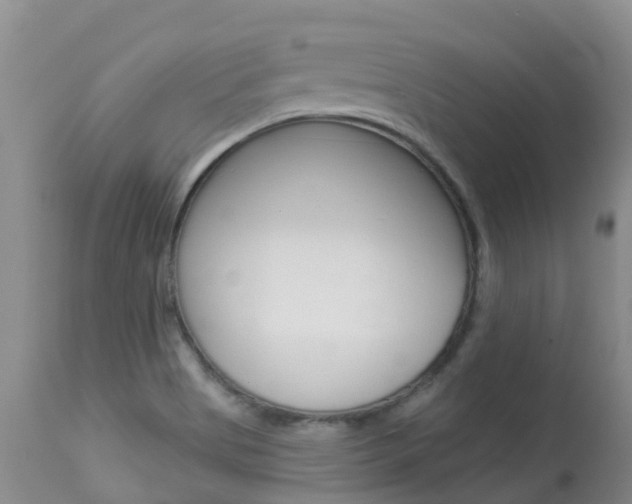 X0000113941513200909250927