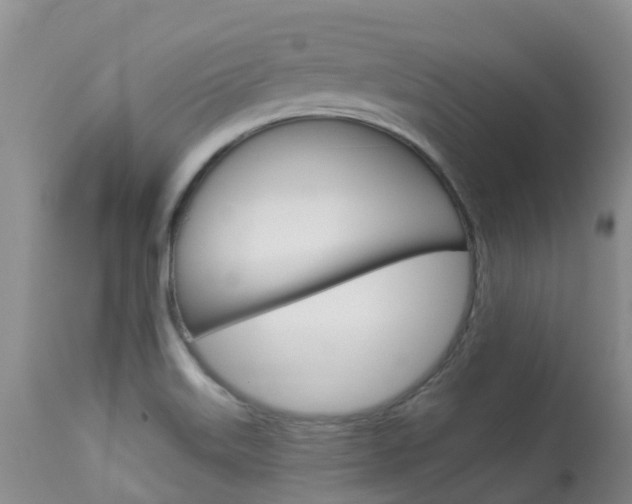 X0000113941515200909250927
