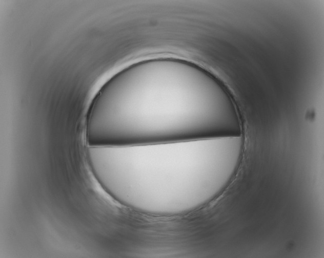 X0000113941516200909250927