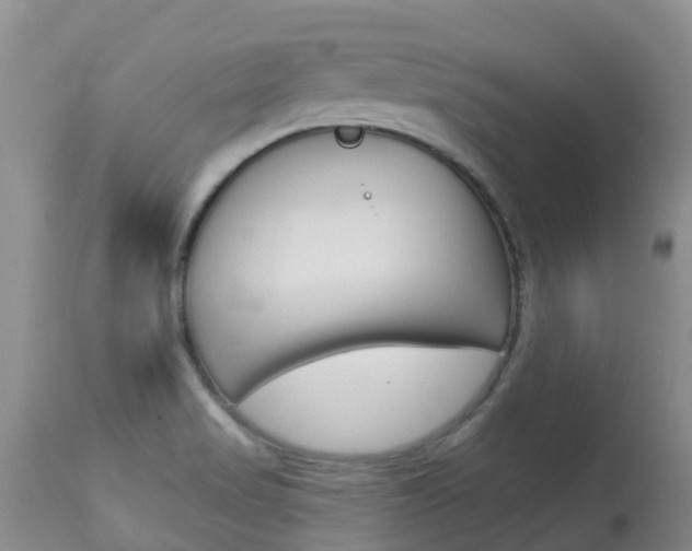 X0000113941517200909250927