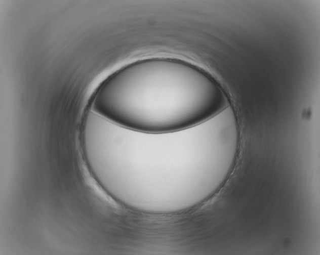 X0000113941518200909250927
