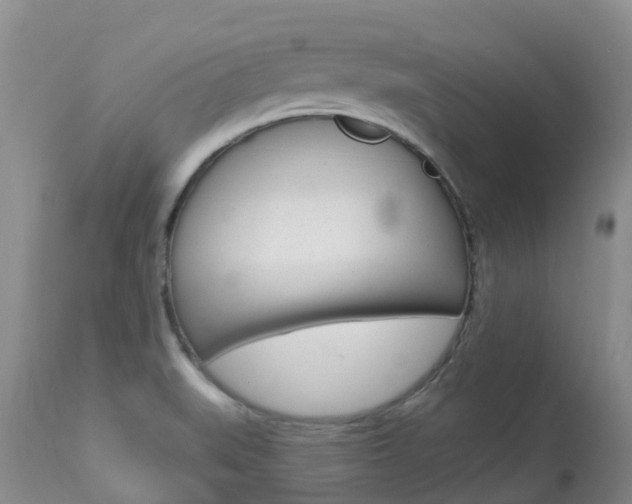 X0000113941519200909250927
