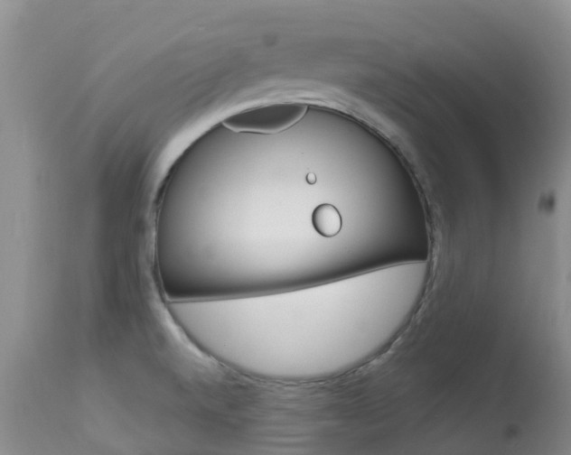 X0000113941520200909250927