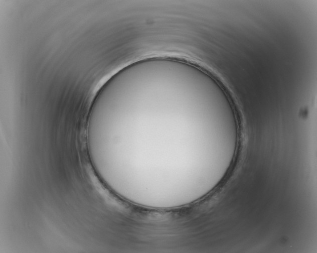 X0000113941521200909250927