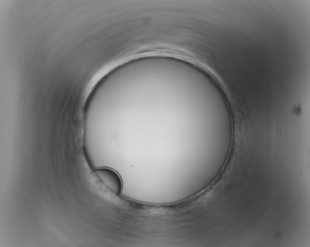 X0000113941522200909250927