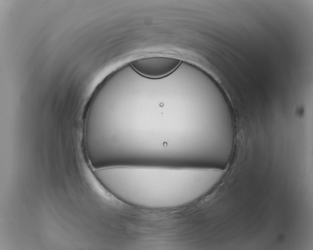 X0000113941523200909250927