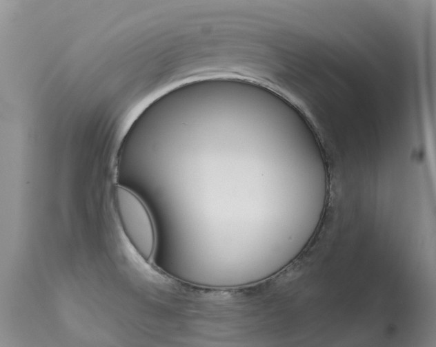 X0000113941524200909250927