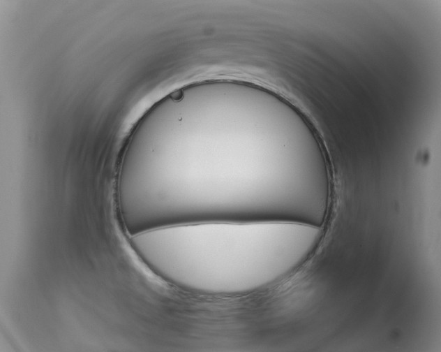 X0000113941525200909250927