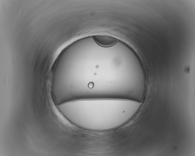 X0000113941526200909250927