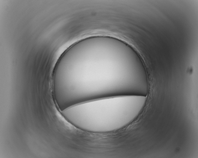 X0000113941527200909250927