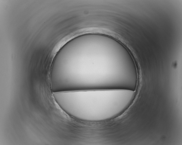X0000113941529200909250927