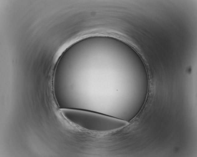 X0000113941530200909250927