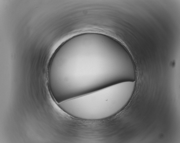 X0000113941531200909250927