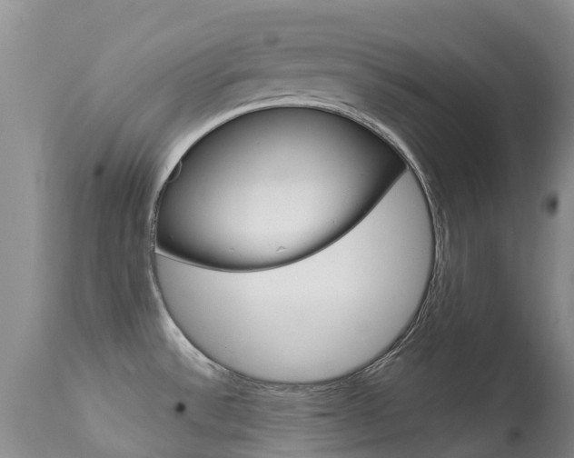 X0000113941532200909250927