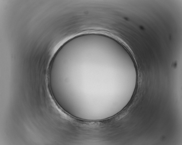 X0000113941533200909250927