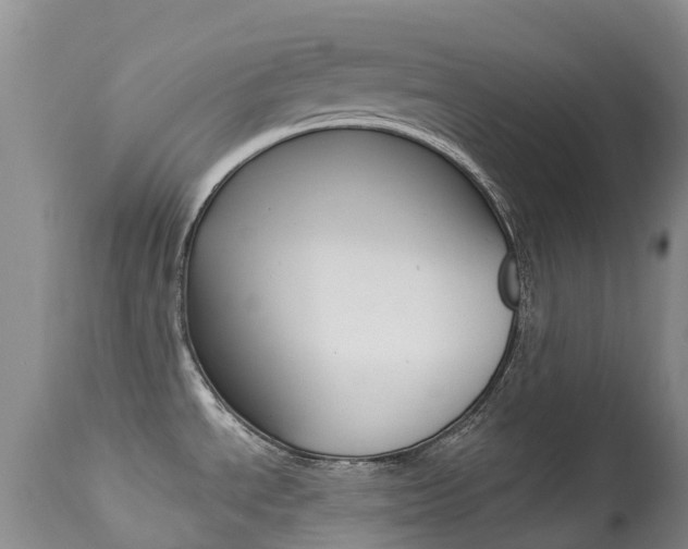 X0000113941534200909250927