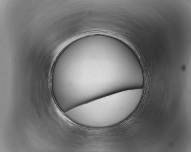 X0000113941535200909250927