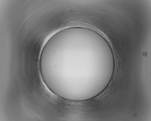 X0000113941536200909250927