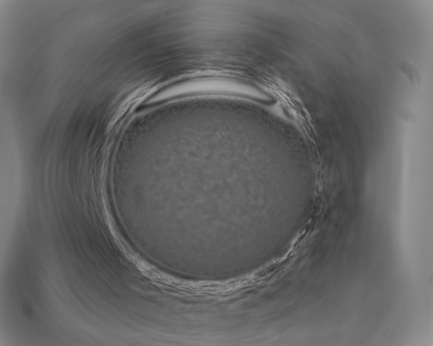 X0000113940001200909251250