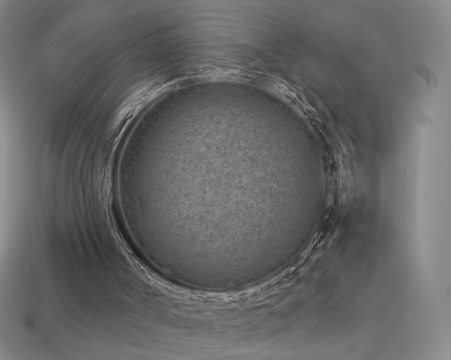 X0000113940002200909251250