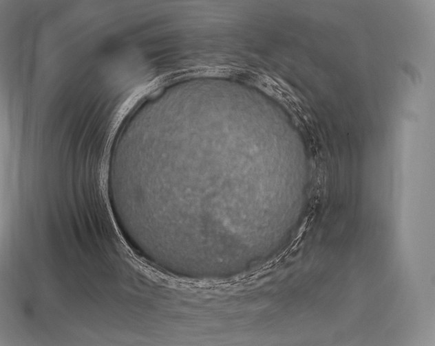 X0000113940003200909251250