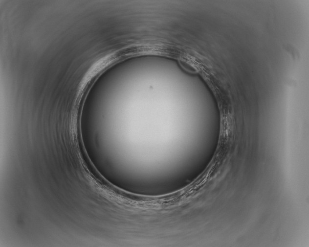 X0000113940004200909251250