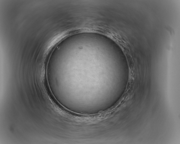 X0000113940005200909251250