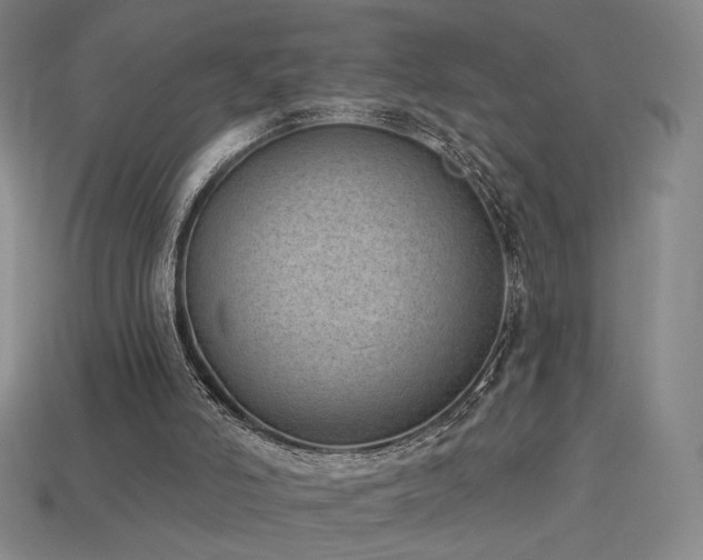 X0000113940006200909251250