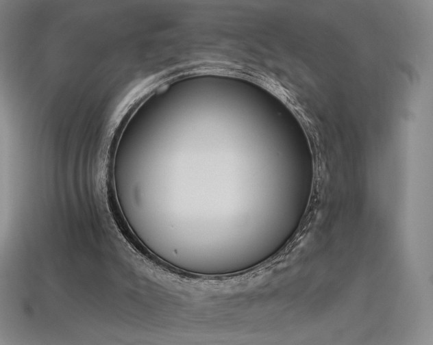 X0000113940007200909251250