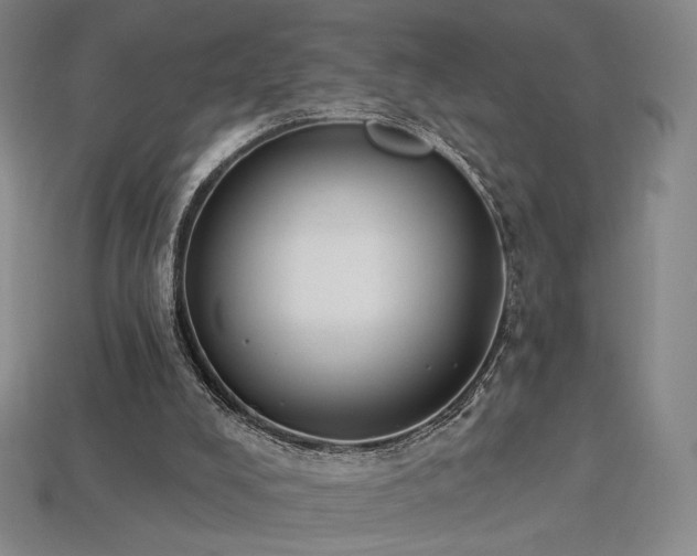 X0000113940008200909251250