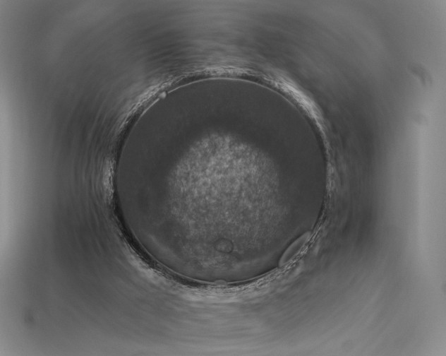 X0000113940009200909251250