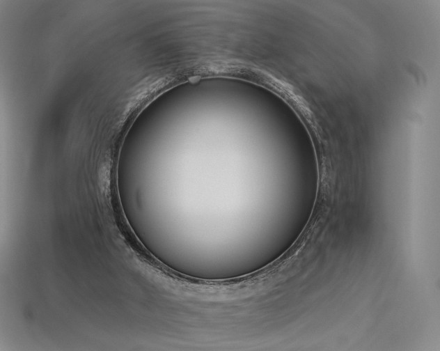 X0000113940010200909251250