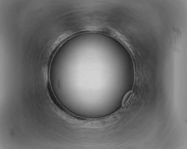 X0000113940011200909251250