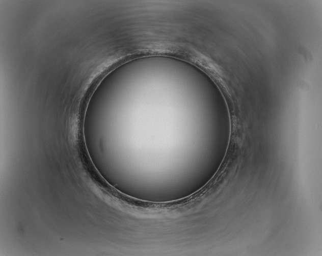 X0000113940012200909251250