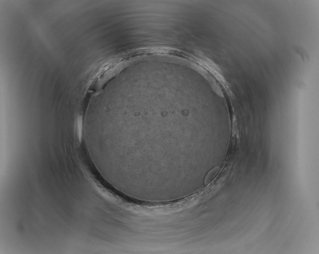 X0000113940013200909251250