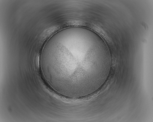 X0000113940014200909251250