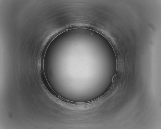 X0000113940015200909251250