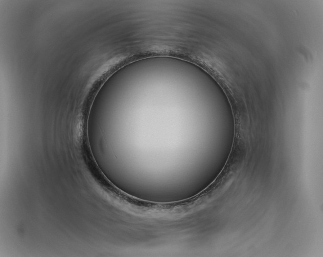 X0000113940016200909251250