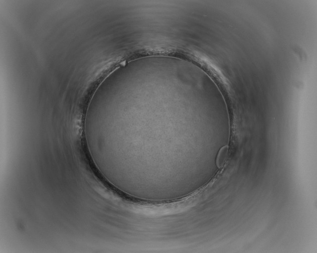 X0000113940017200909251250