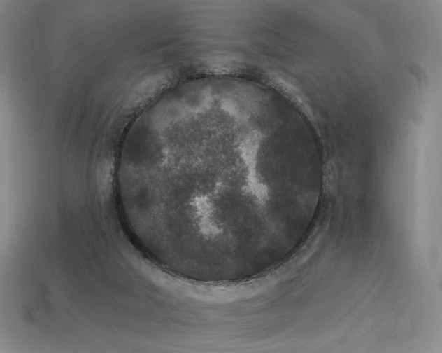 X0000113940018200909251250