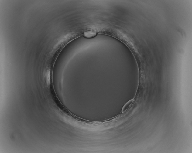 X0000113940019200909251250