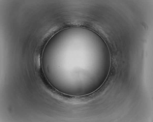 X0000113940020200909251250